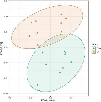 The epithelial transcriptome and mucosal microbiota are altered for goats fed with a low-protein diet